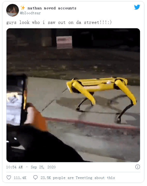 Robot dog wanders the streets alone at night