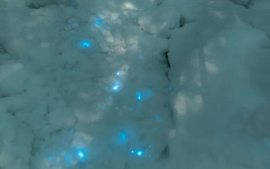 Blu-ray snow discovered in Russian Arctic